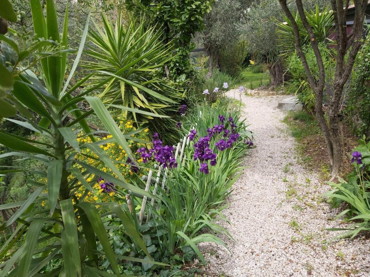 Bastide De La Lauve Bed & Breakfast Magagnosc Ngoại thất bức ảnh